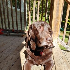 Meet your Posher, Jodie